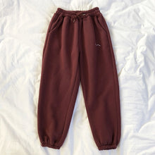 Load image into Gallery viewer, Mooirue Winter Women Harem Pants Stripe Embroidery