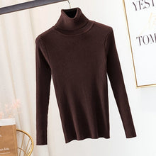 Load image into Gallery viewer, Sweater Pullover Turtlenecks