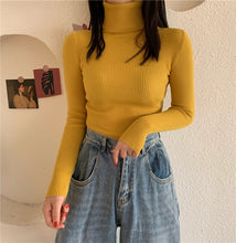 Load image into Gallery viewer, Sweater Pullover Turtlenecks