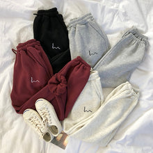 Load image into Gallery viewer, Mooirue Winter Women Harem Pants Stripe Embroidery
