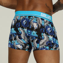 Load image into Gallery viewer, ORLVS Brand Men  Boxer
