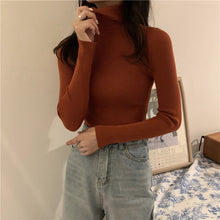 Load image into Gallery viewer, Sweater Pullover Turtlenecks
