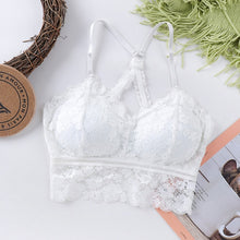 Load image into Gallery viewer, Sexy Lace Bra Female Push Up Seamless Plus Size Lingerie

